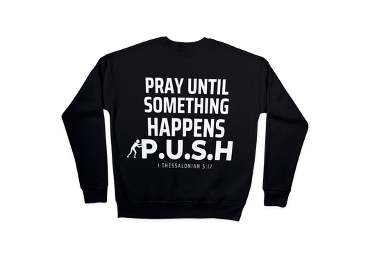 PUSH CREWNECKS