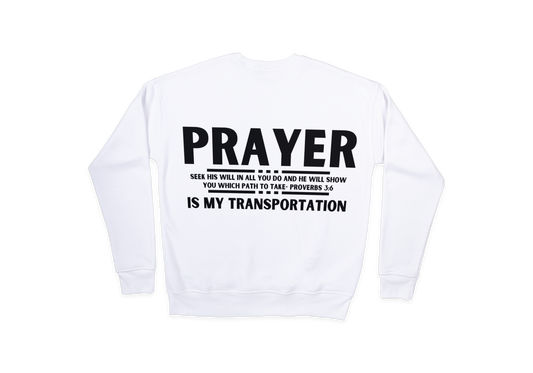 TRANSPORTATION CREWNECKS